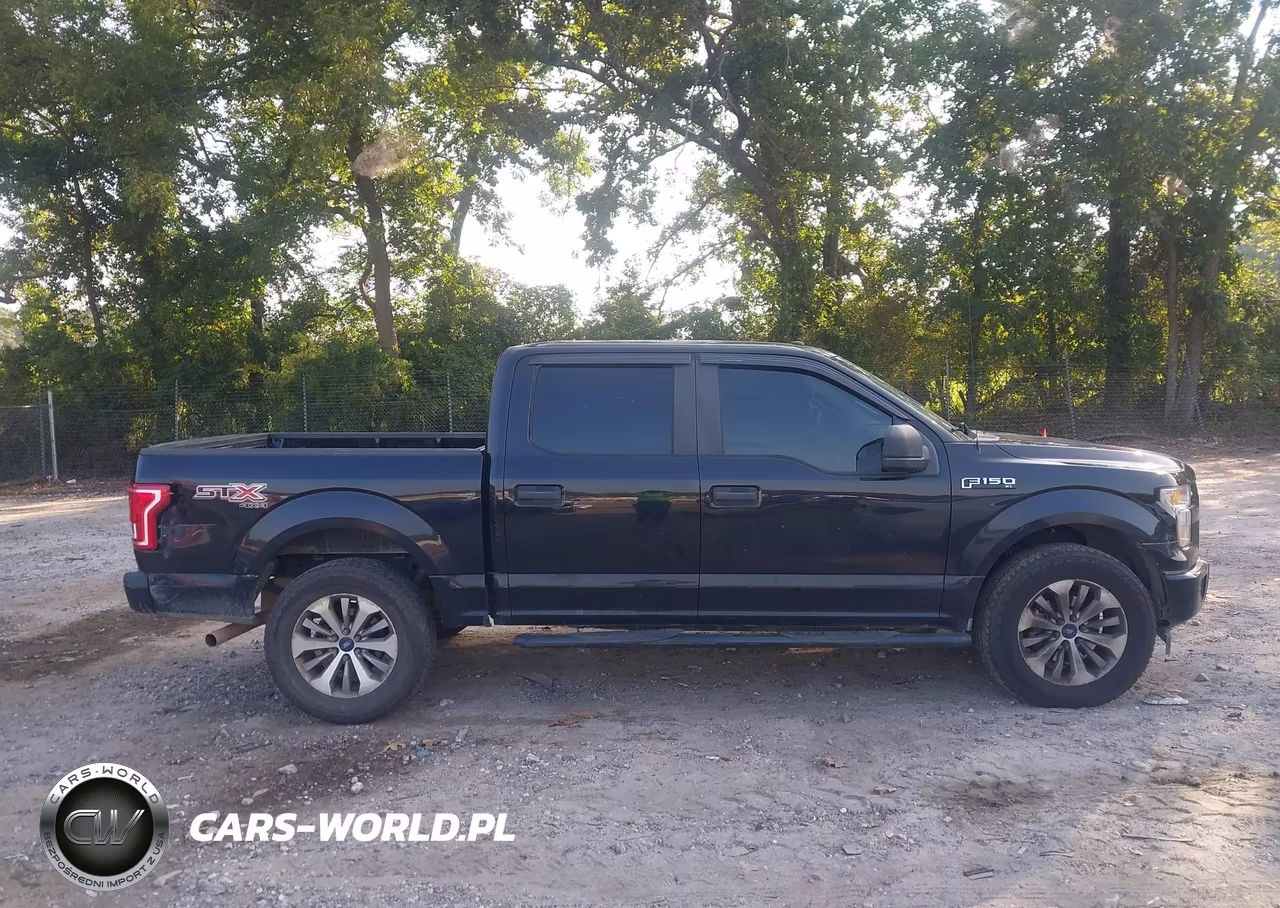 2017 Ford F-150 Xl VIN:1FTEW1EF0HFB98532 - 13