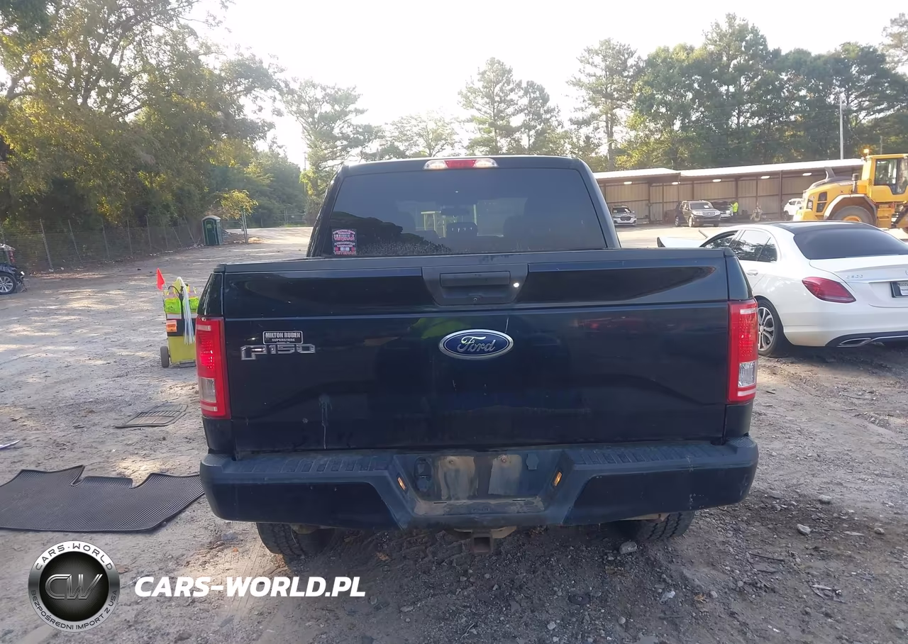 2017 Ford F-150 Xl VIN:1FTEW1EF0HFB98532 - 16