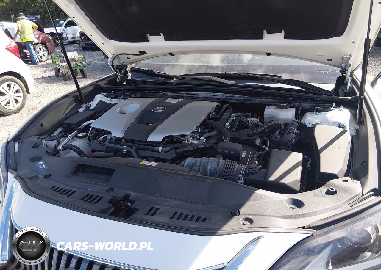 2021 Lexus Es 300H VIN:58ADA1C1XMU011048 - 10