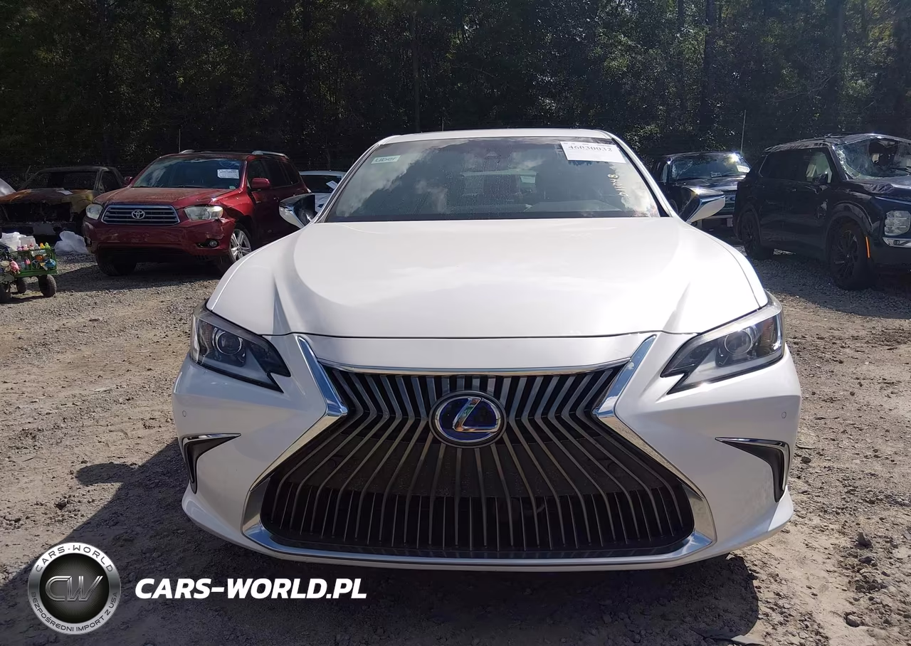 2021 Lexus Es 300H VIN:58ADA1C1XMU011048 - 12