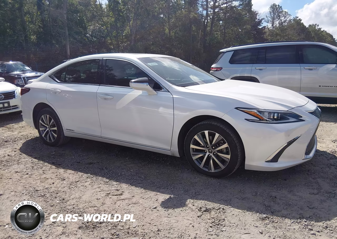 2021 Lexus Es 300H VIN:58ADA1C1XMU011048 - 13