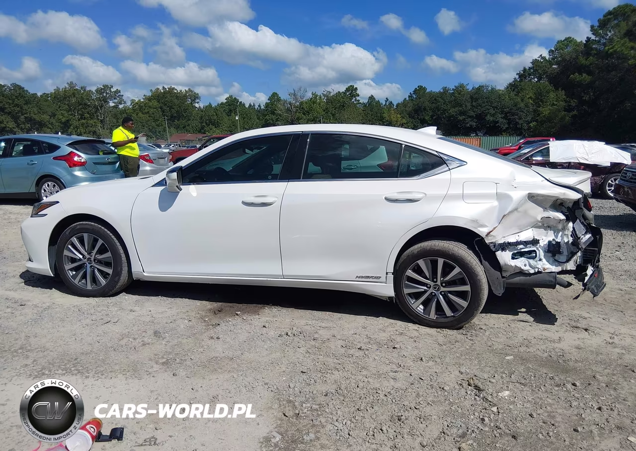 2021 Lexus Es 300H VIN:58ADA1C1XMU011048 - 14