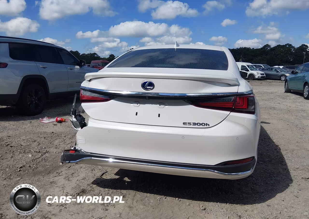 2021 Lexus Es 300H VIN:58ADA1C1XMU011048 - 16