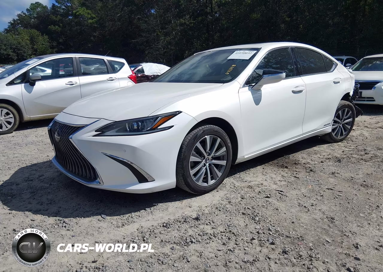 2021 Lexus Es 300H VIN:58ADA1C1XMU011048 - 2