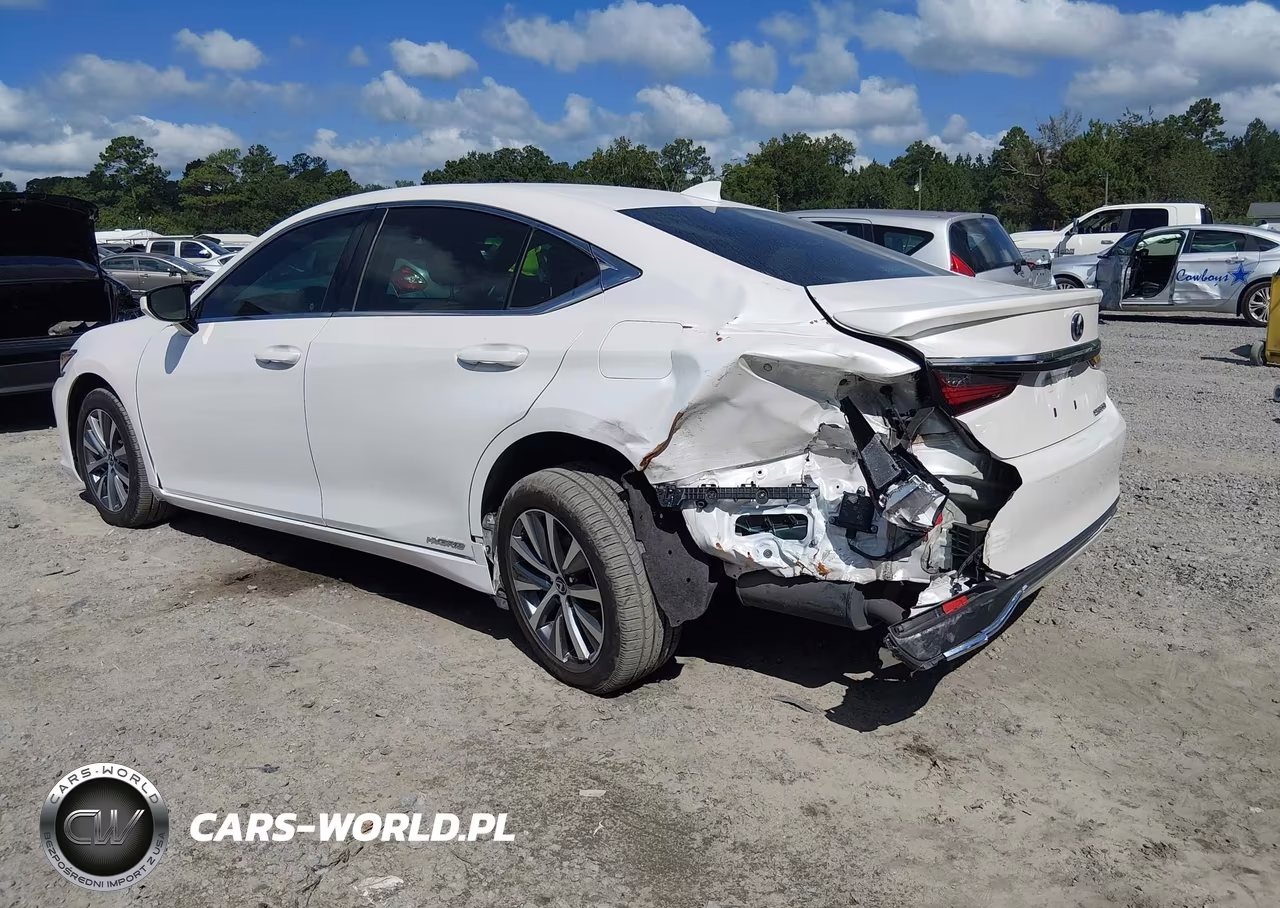 2021 Lexus Es 300H VIN:58ADA1C1XMU011048 - 3