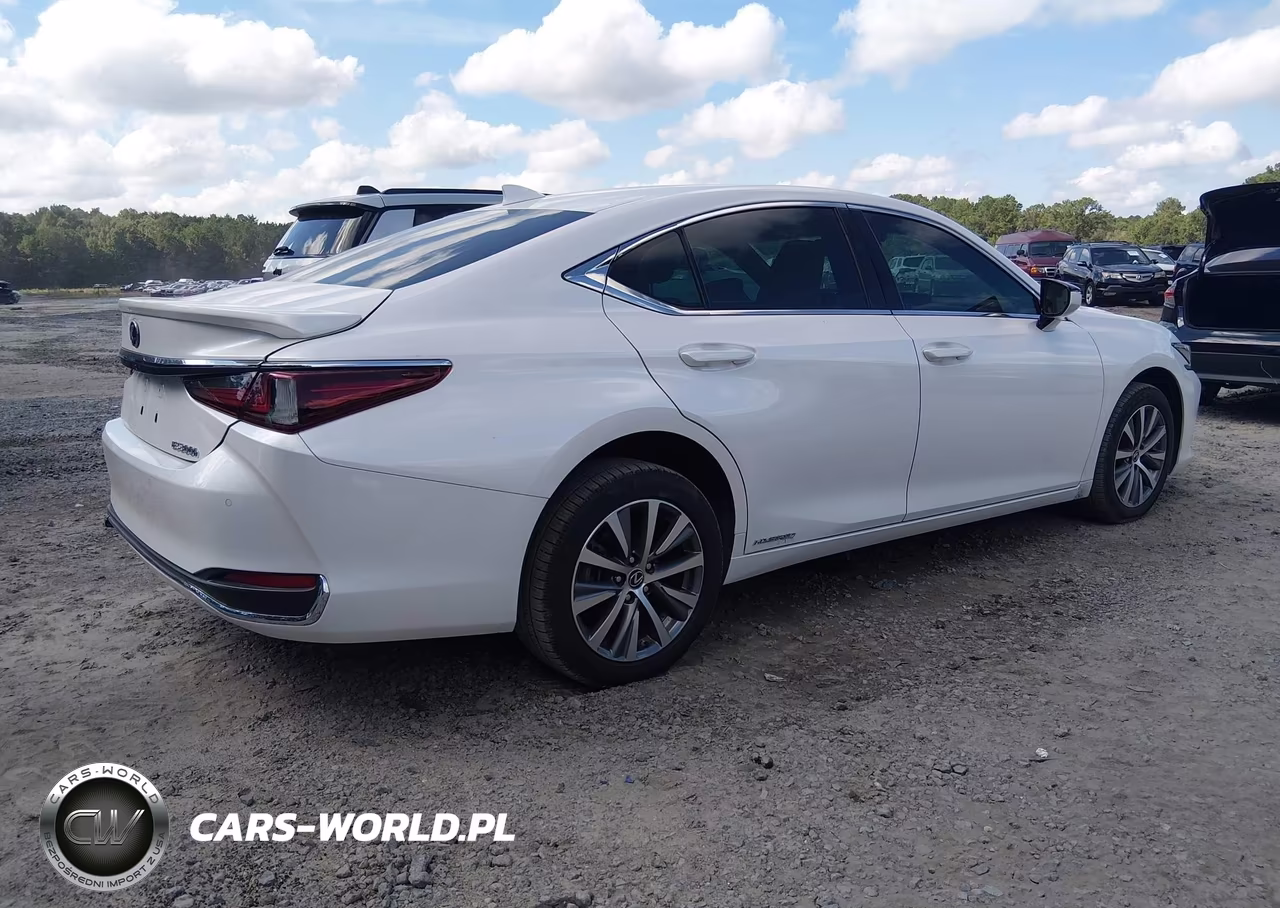 2021 Lexus Es 300H VIN:58ADA1C1XMU011048 - 4