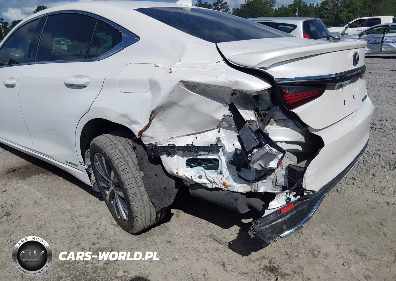 2021 Lexus Es 300H VIN:58ADA1C1XMU011048 - 6
