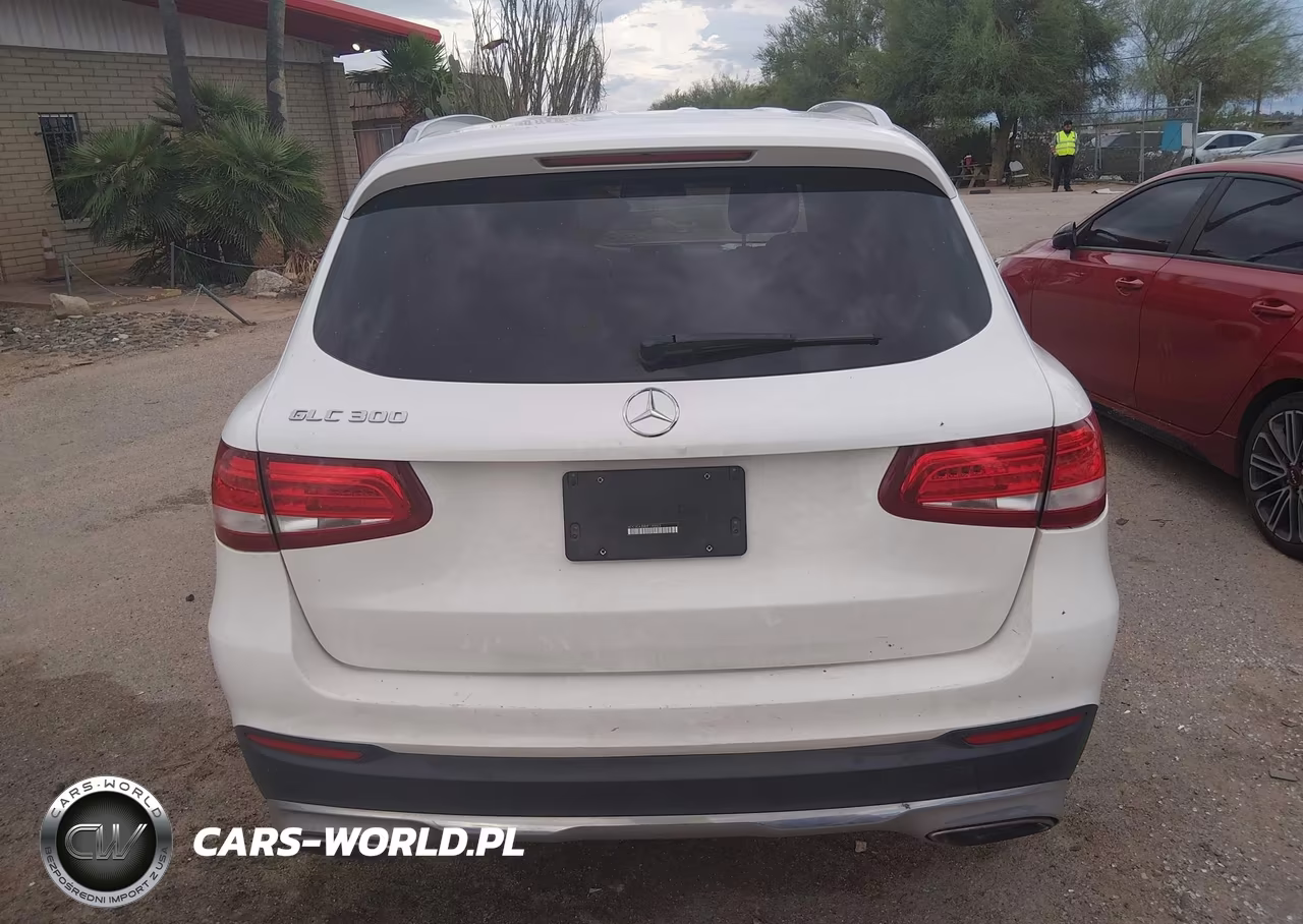 2017 Mercedes-Benz Glc 300 VIN:WDC0G4JB8HF135023 - 16