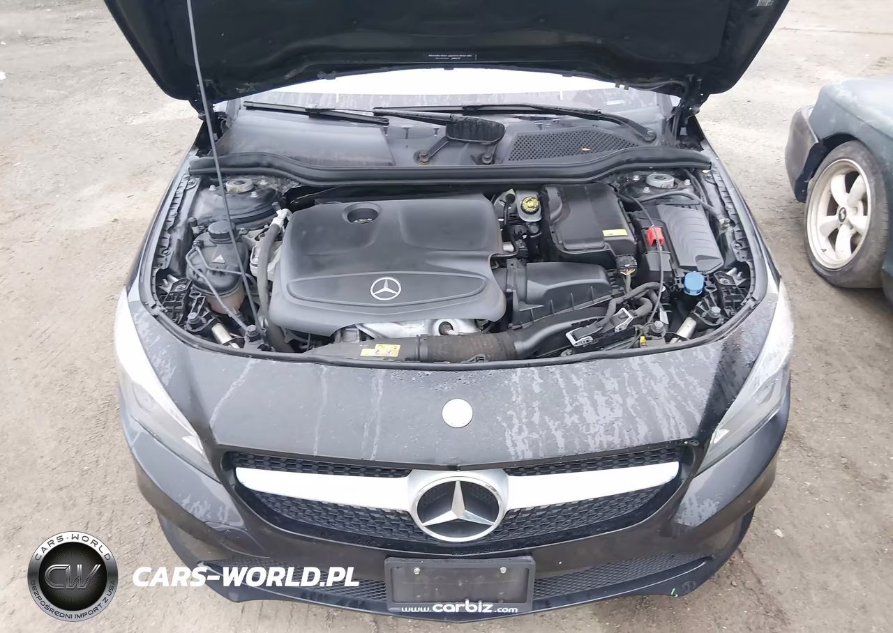 2016 Mercedes-Benz Cla 250 VIN:WDDSJ4EB3GN349437 - 10