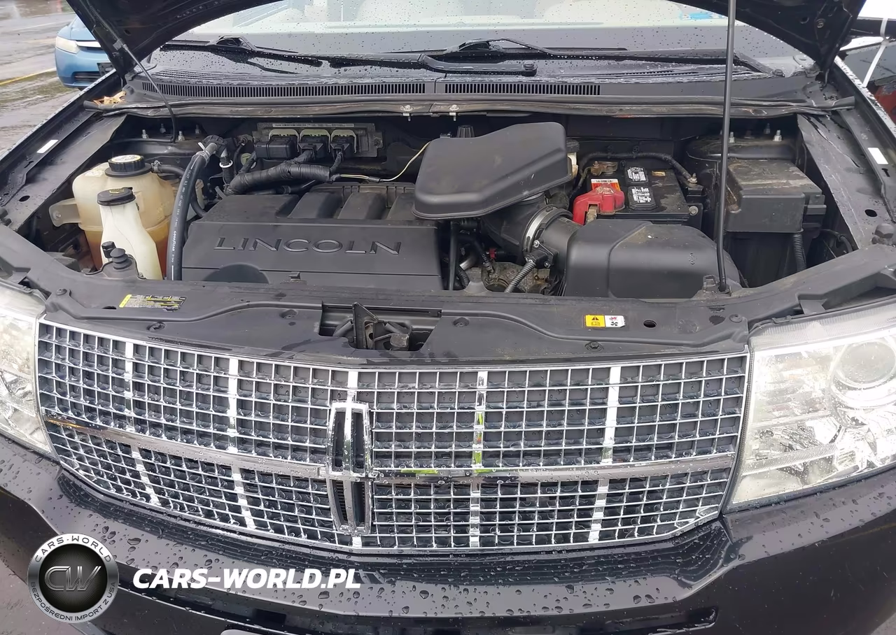 2007 Lincoln Mkx VIN:2LMDU88C77BJ08949 - 10
