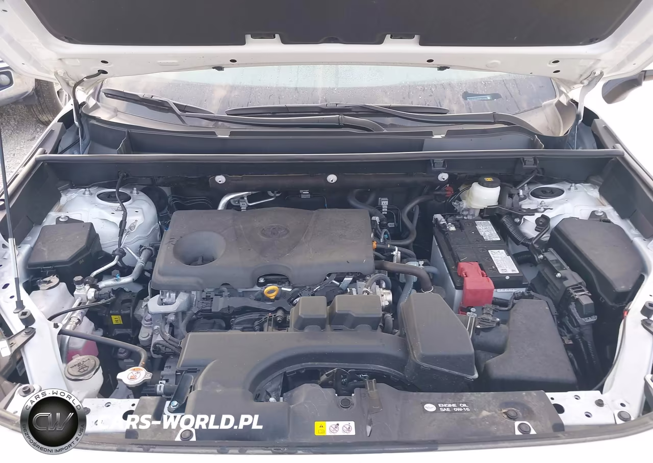 2025 Toyota Rav4 Xle VIN:2T3P1RFV8SW618362 - 10
