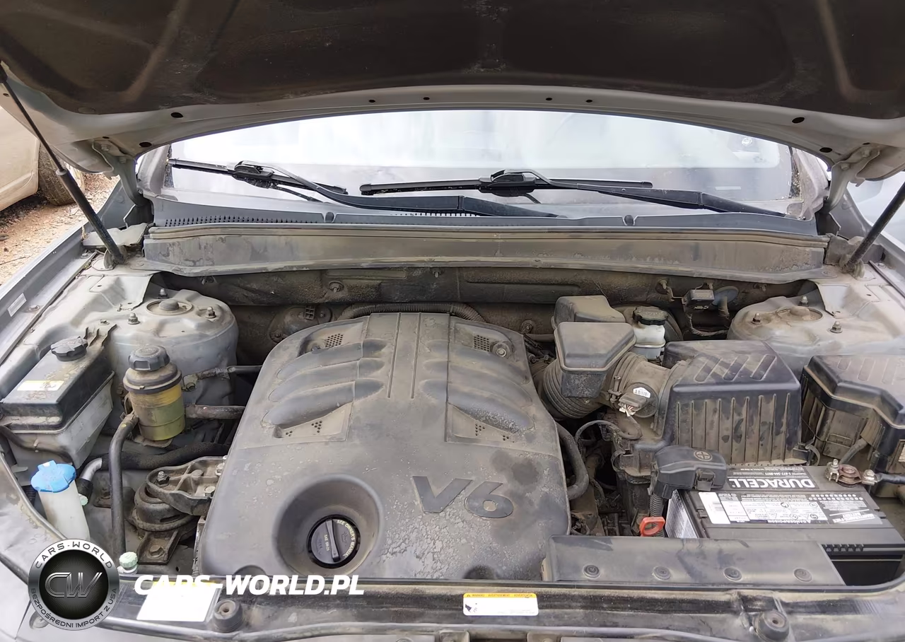 2009 Hyundai Santa Fe Se VIN:5NMSH13E49H330848 - 10