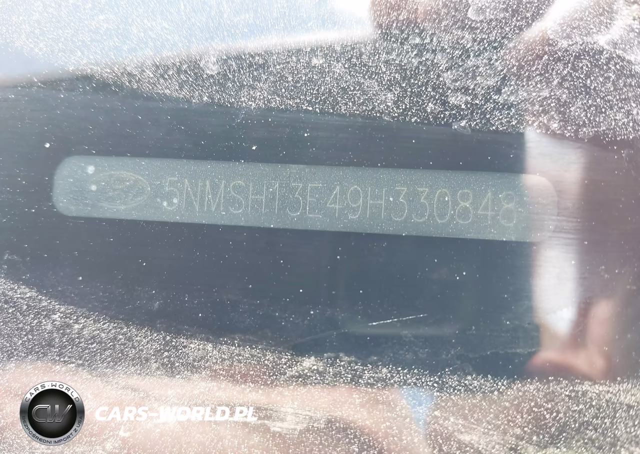 2009 Hyundai Santa Fe Se VIN:5NMSH13E49H330848 - 9