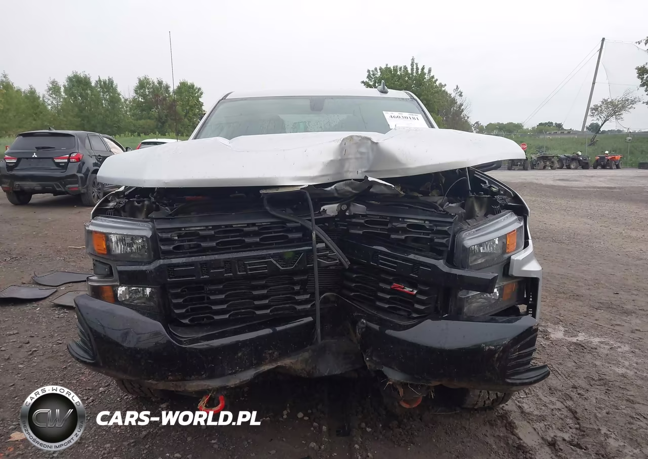 2020 Chevrolet Silverado 1500 4Wd Standard Bed Custom Trail Boss VIN:1GCRYCEF1LZ331412 - 13