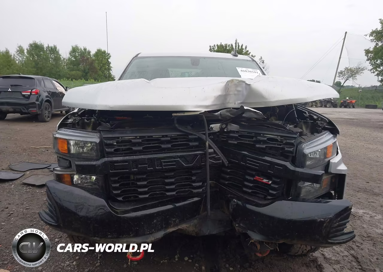 2020 Chevrolet Silverado 1500 4Wd Standard Bed Custom Trail Boss VIN:1GCRYCEF1LZ331412 - 6