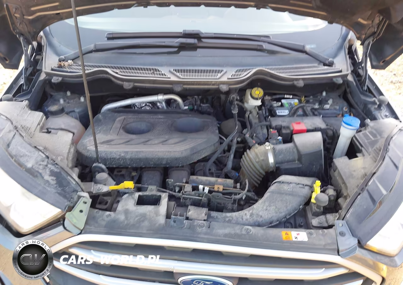 2019 Ford Ecosport Se VIN:MAJ6S3GL3KC282180 - 10