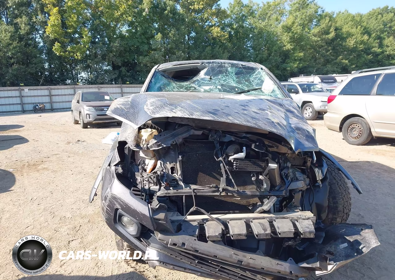 2016 Toyota Tacoma Sr5 V6 VIN:5TFSZ5AN0GX002645 - 12