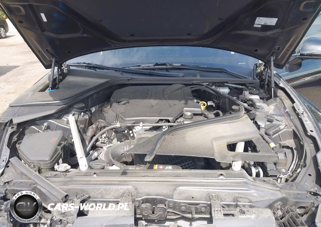 2023 Genesis G80 2.5T Awd VIN:KMTGB4SC4PU190106 - 10