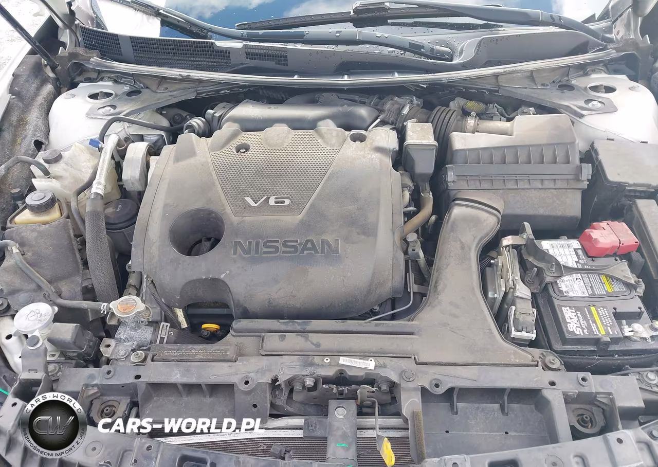 2019 Nissan Maxima 3.5 Platinum VIN:1N4AA6AV5KC380961 - 10