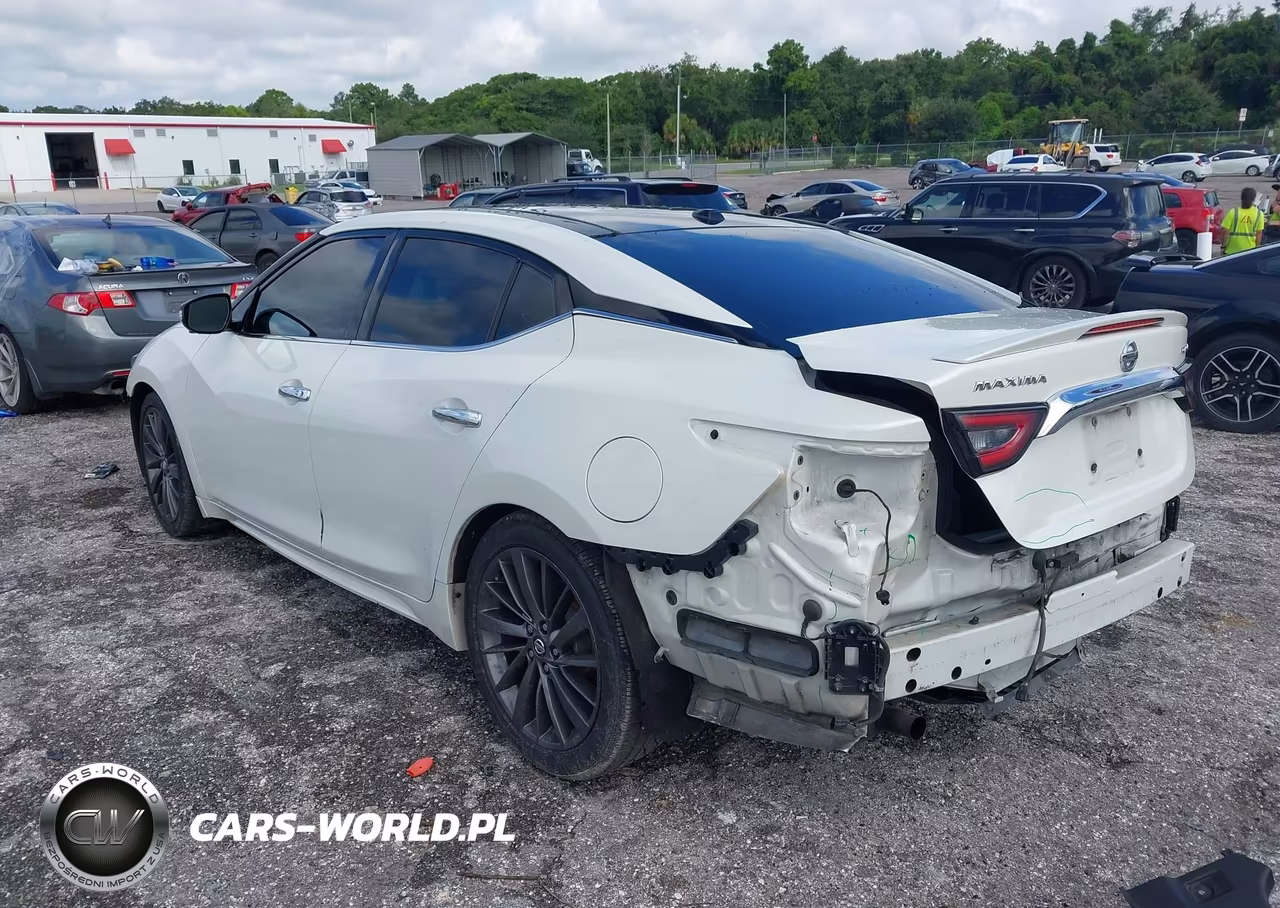 2019 Nissan Maxima 3.5 Platinum VIN:1N4AA6AV5KC380961 - 3