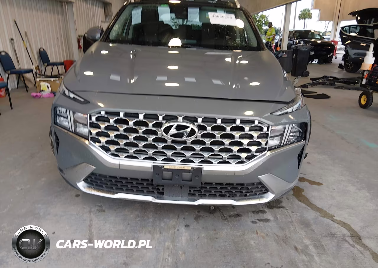 2022 Hyundai Santa Fe Sel VIN:5NMS3DAJ3NH452689 - 11
