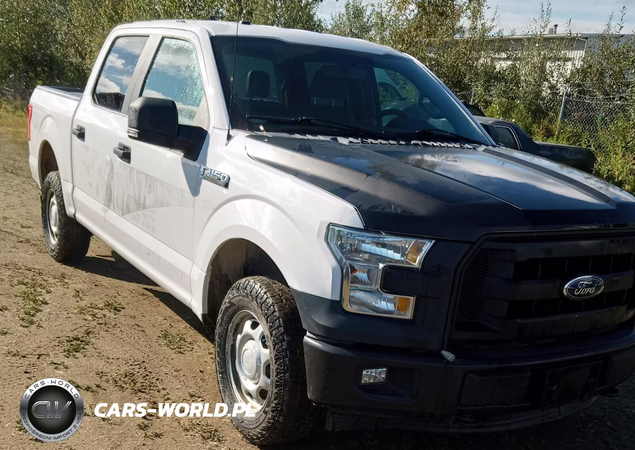 2017 Ford F-150 Xl – zdjęcie 1 z 16