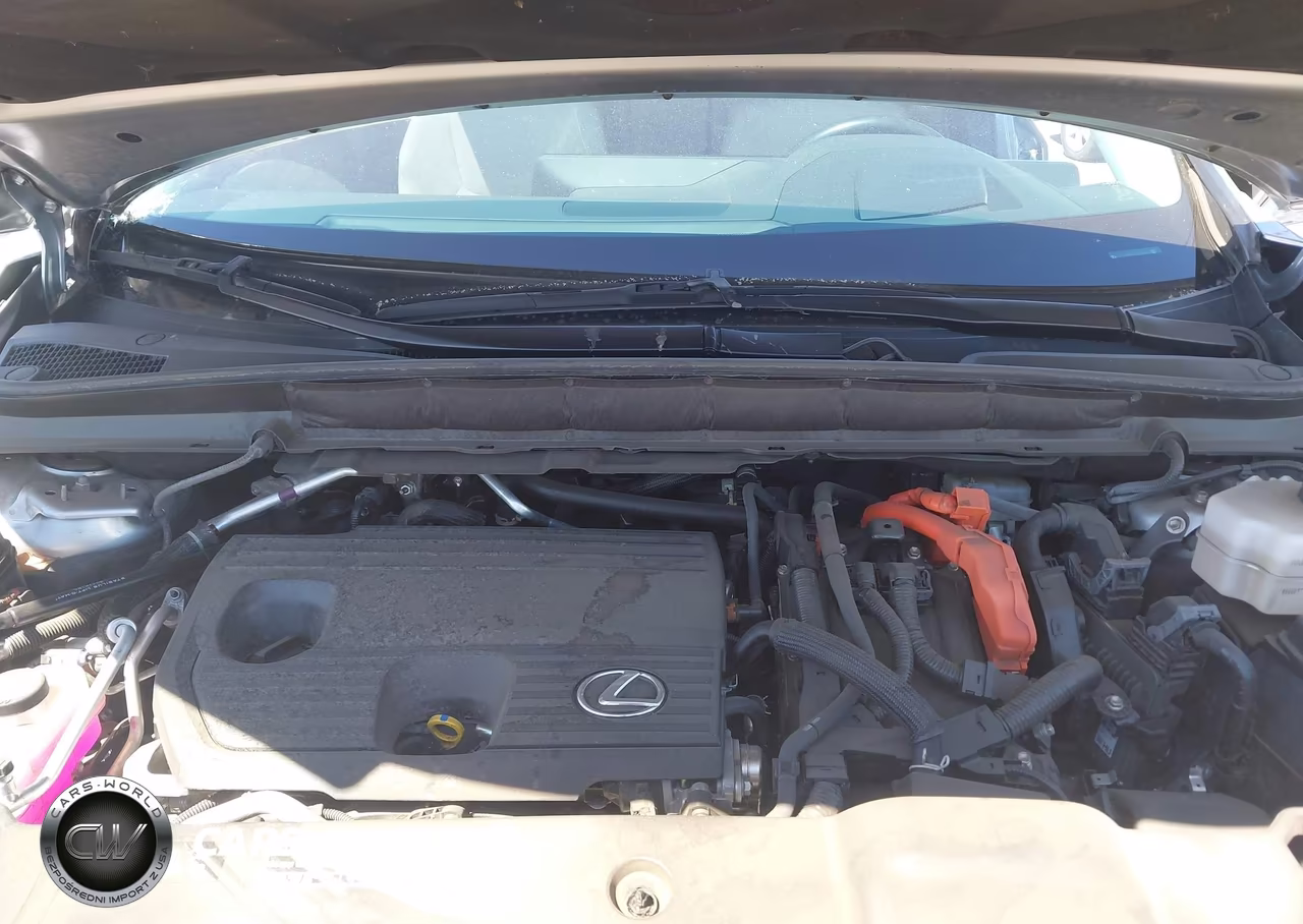 2024 Lexus Rx 450H+ Luxury VIN:JTJCJMGA1R2014830 - 10