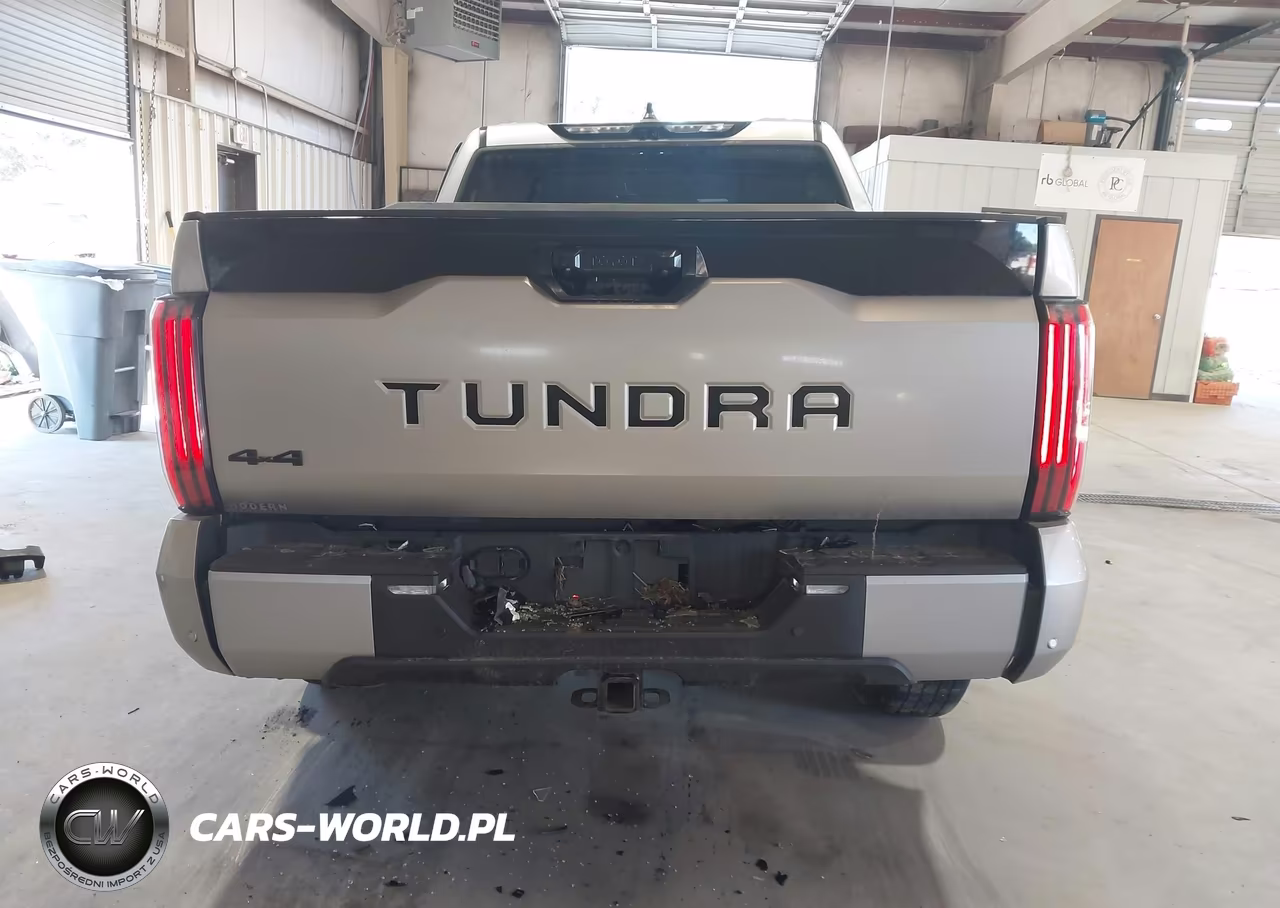 2024 Toyota Tundra Platinum VIN:5TFNA5DB9RX160555 - 17
