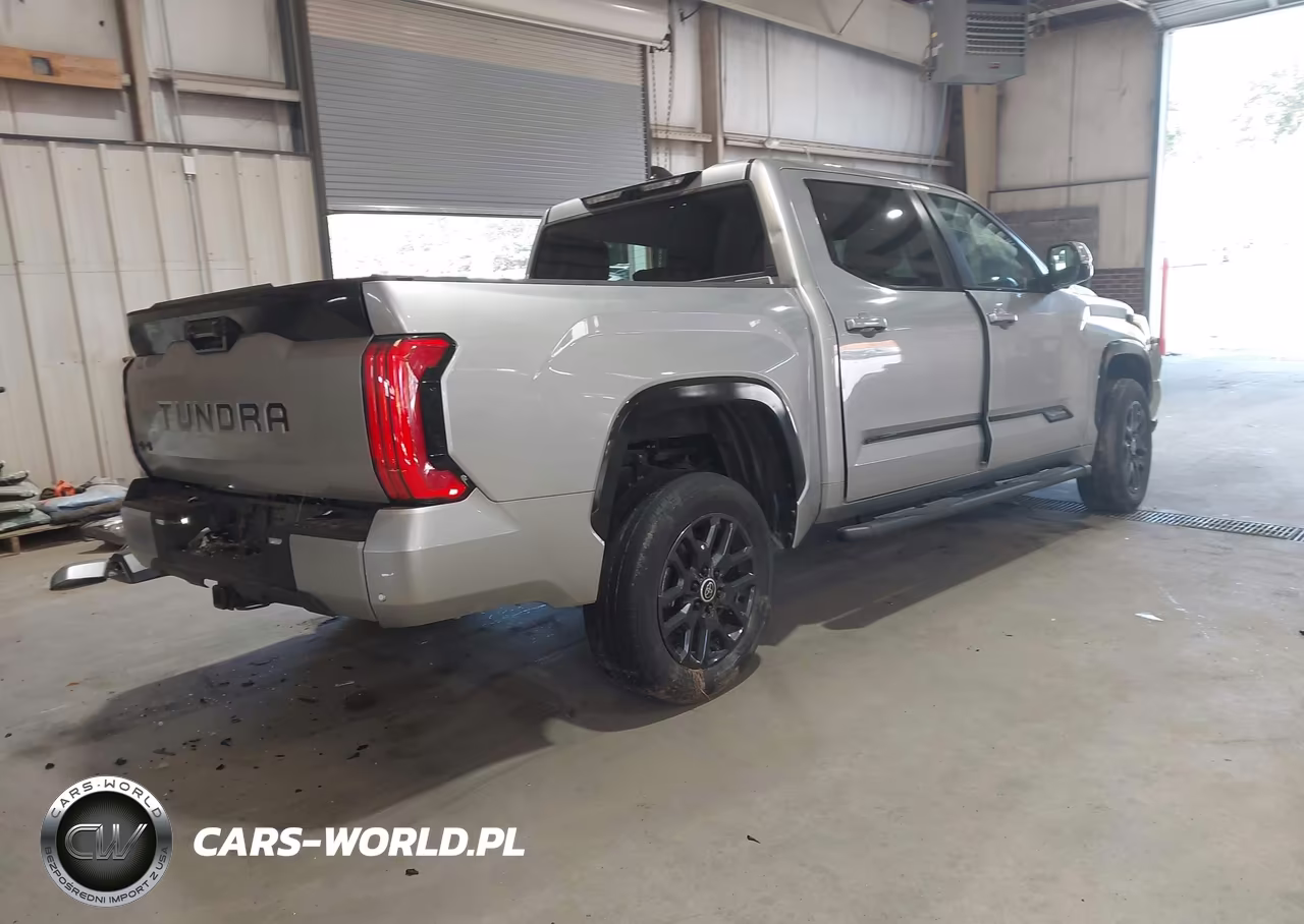 2024 Toyota Tundra Platinum VIN:5TFNA5DB9RX160555 - 4
