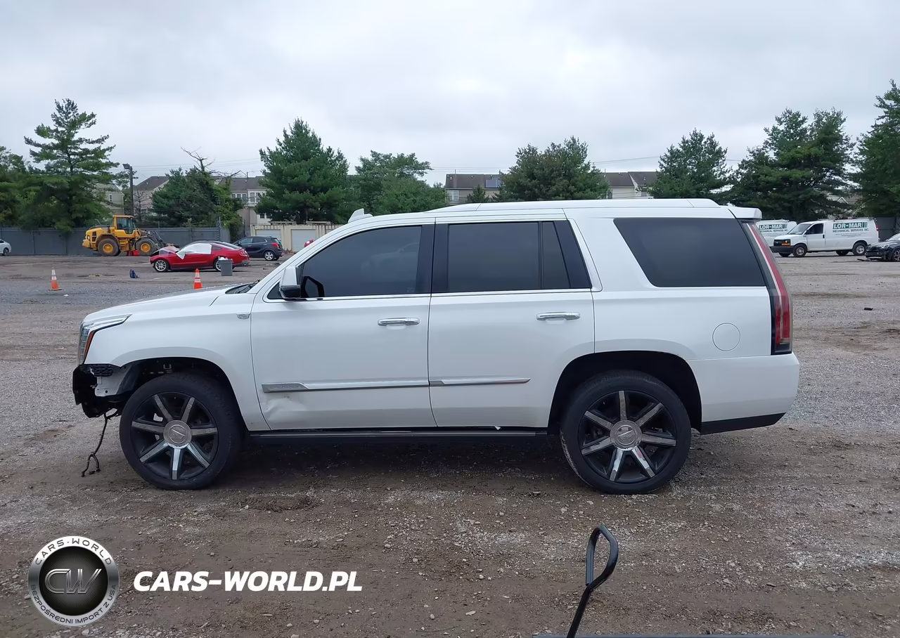 2016 Cadillac Escalade Premium Collection VIN:1GYS4CKJ9GR383196 - 14