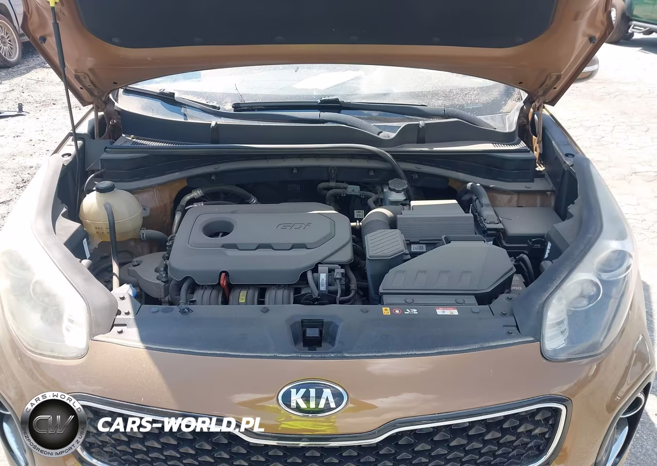2019 Kia Sportage Ex VIN:KNDPNCAC3K7531004 - 10