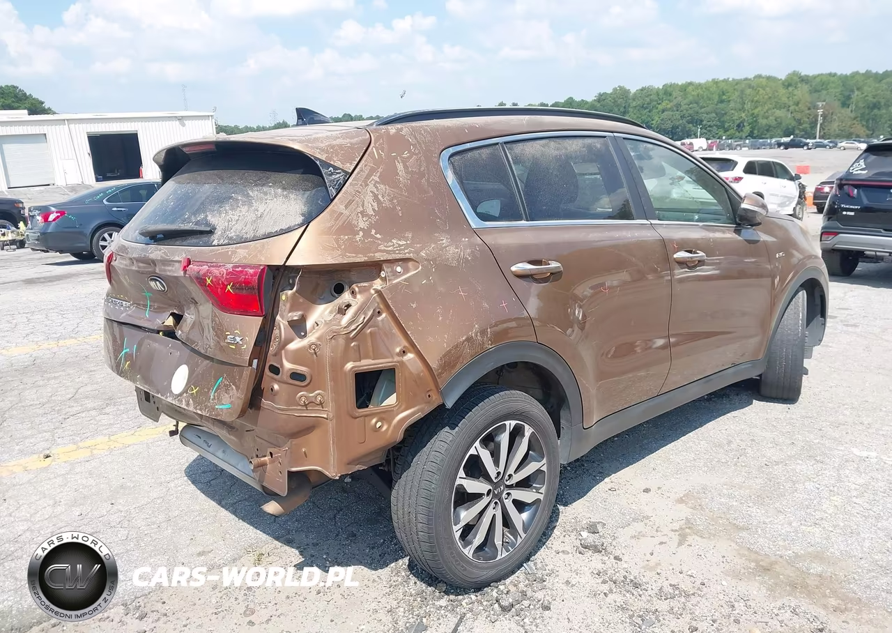 2019 Kia Sportage Ex VIN:KNDPNCAC3K7531004 - 16