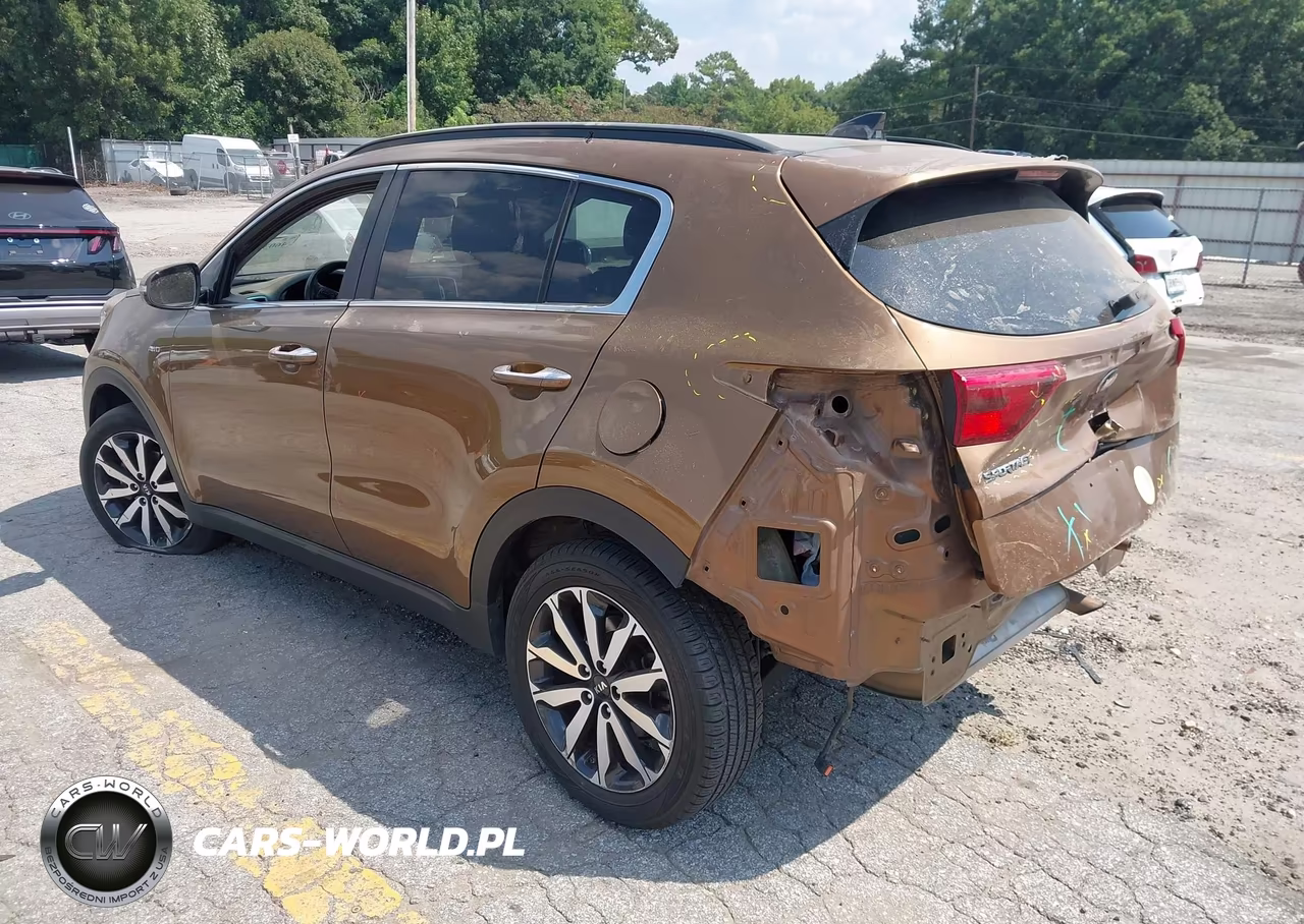 2019 Kia Sportage Ex VIN:KNDPNCAC3K7531004 - 3