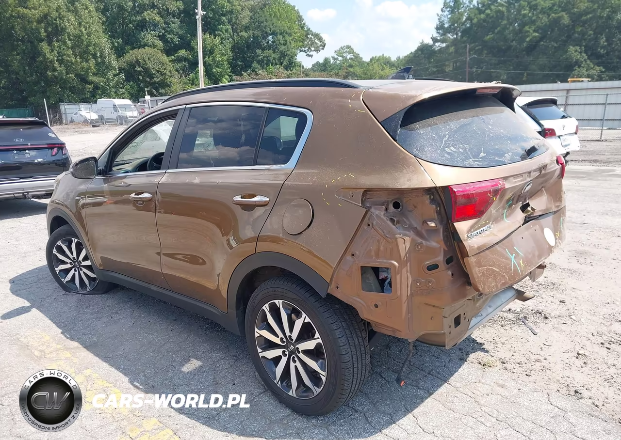 2019 Kia Sportage Ex VIN:KNDPNCAC3K7531004 - 6