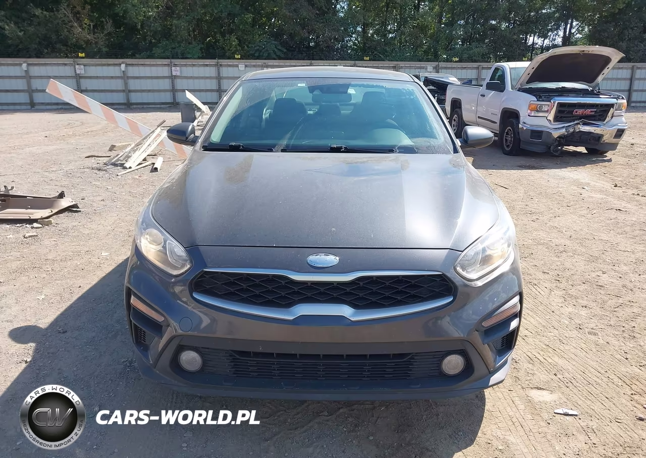2019 Kia Forte Fe VIN:3KPF24AD8KE005258 - 12
