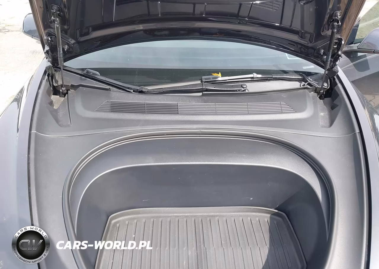 2025 Tesla Model 3 Long Range Rear-Wheel Drive-Standard Rear-Wheel Drive VIN:5YJ3E1EA6SF966833 - 10