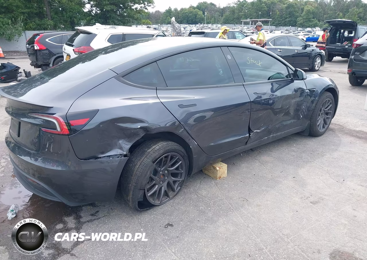 2025 Tesla Model 3 Long Range Rear-Wheel Drive-Standard Rear-Wheel Drive VIN:5YJ3E1EA6SF966833 - 6