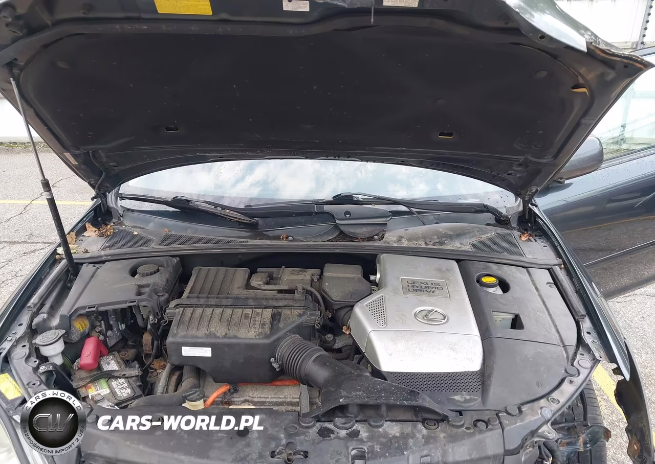 2007 Lexus Rx 400H VIN:JTJHW31U072007966 - 10