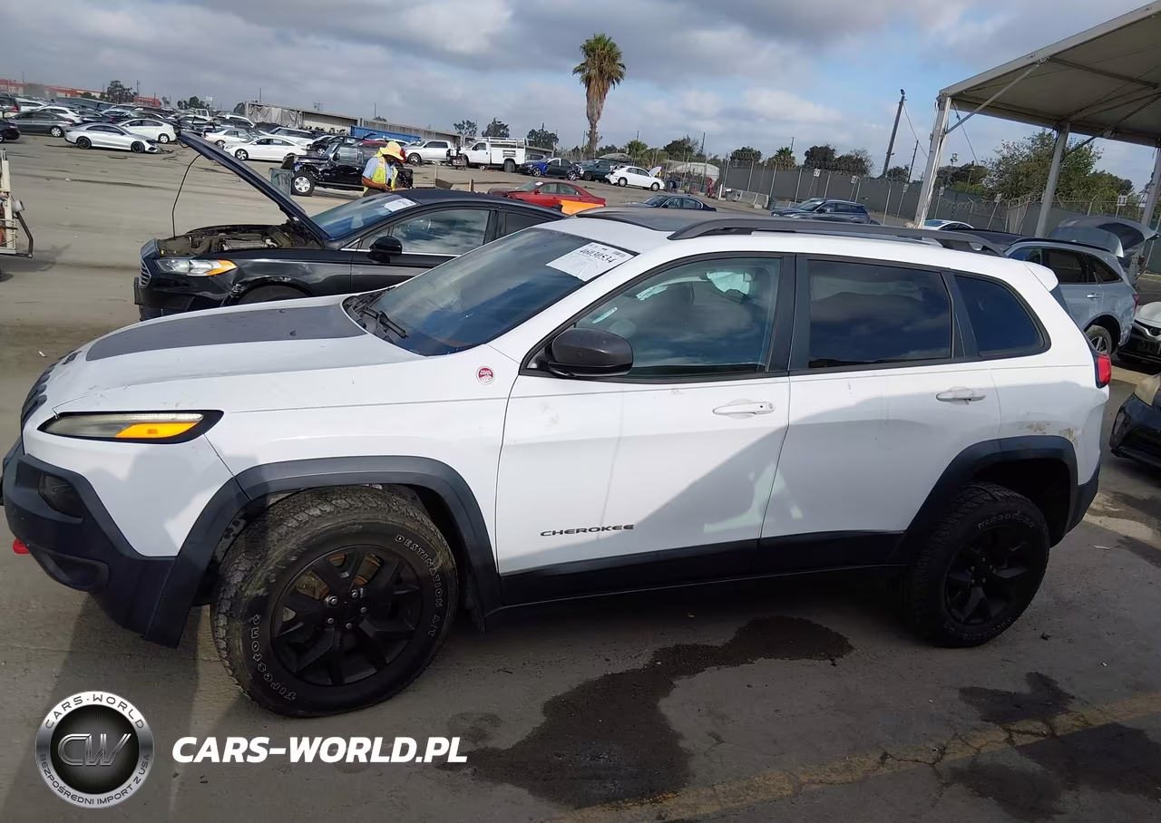 2014 Jeep Cherokee Trailhawk VIN:1C4PJMBB5EW317391 - 17