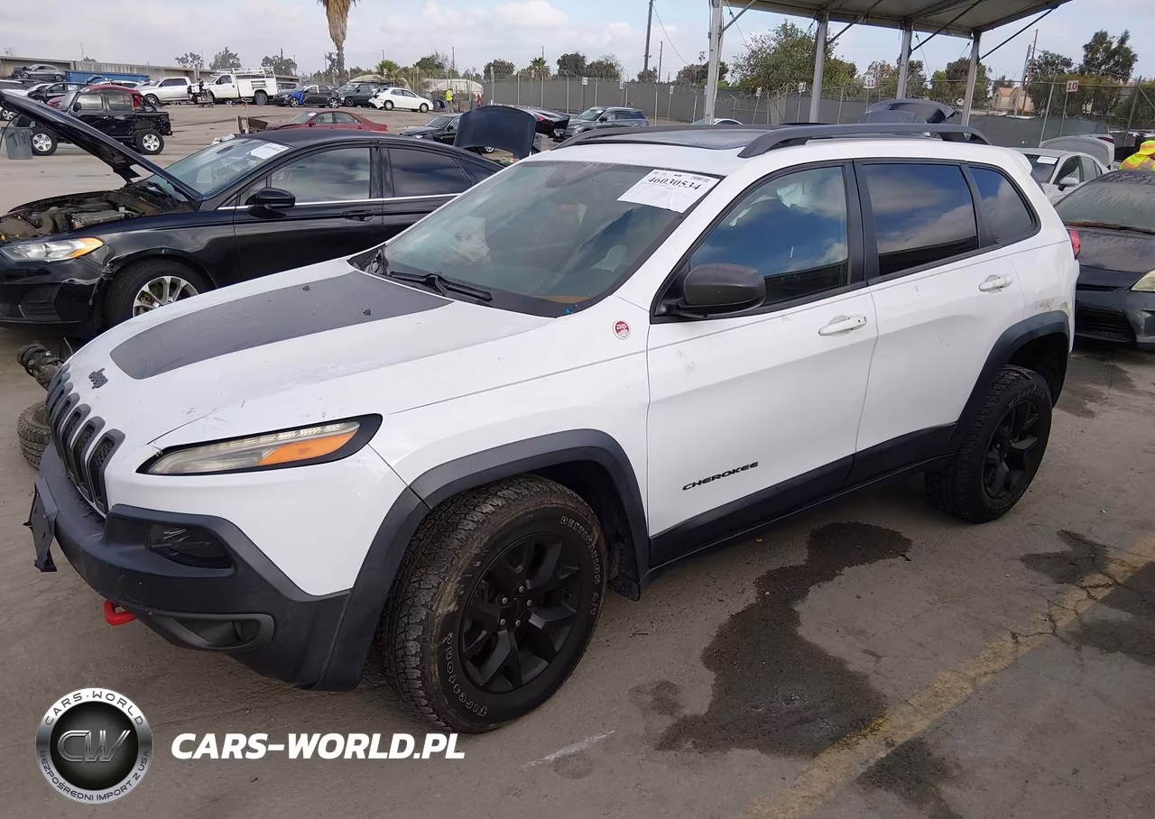 2014 Jeep Cherokee Trailhawk VIN:1C4PJMBB5EW317391 - 2