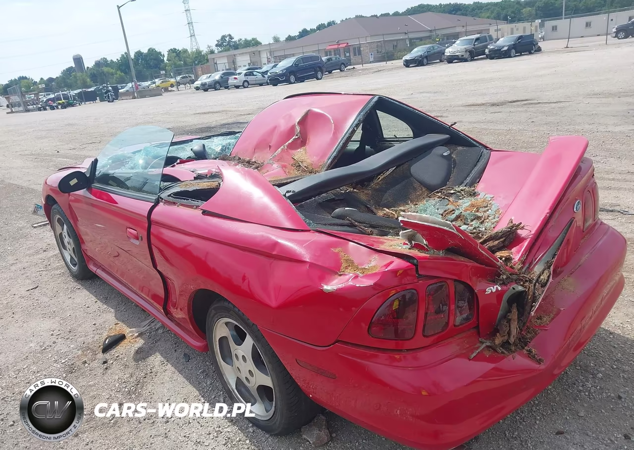 1997 Ford Mustang Cobra VIN:1FALP47V2VF117607 - 3