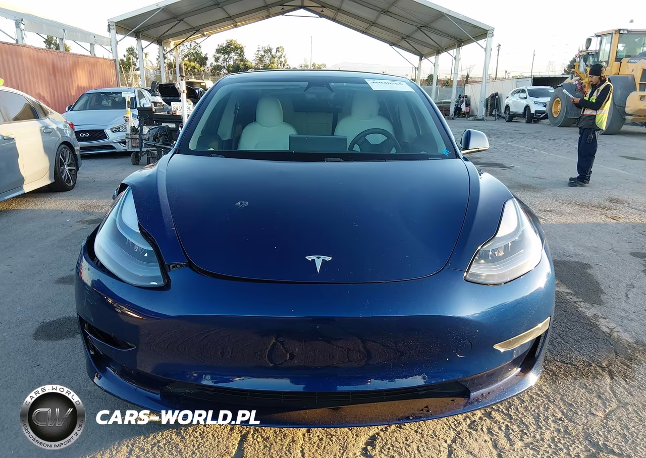 2021 Tesla Model 3 Standard Range Plus Rear-Wheel Drive VIN:5YJ3E1EA1MF978066 - 12