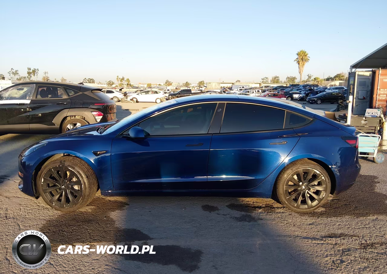 2021 Tesla Model 3 Standard Range Plus Rear-Wheel Drive VIN:5YJ3E1EA1MF978066 - 14