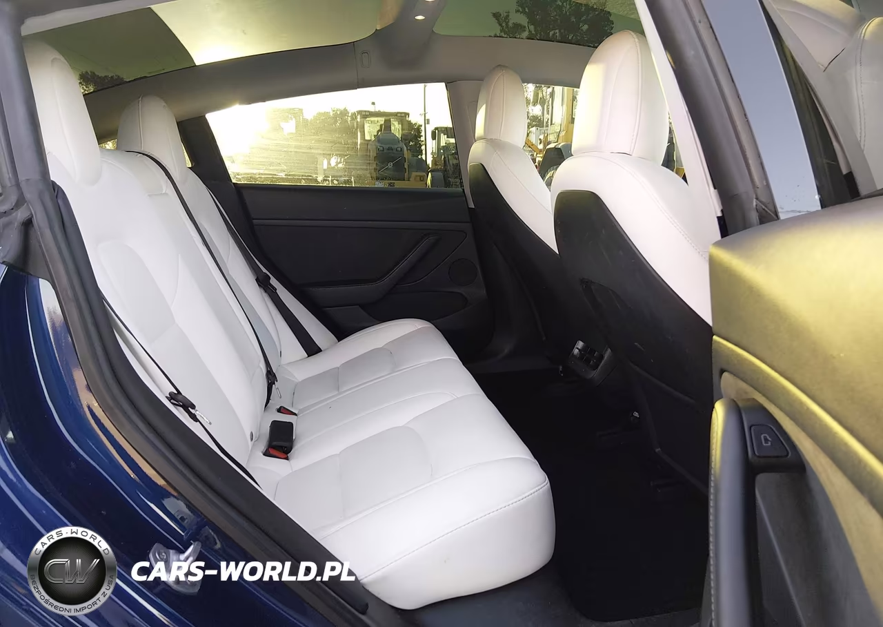 2021 Tesla Model 3 Standard Range Plus Rear-Wheel Drive VIN:5YJ3E1EA1MF978066 - 8