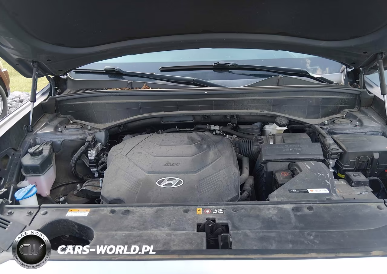 2021 Hyundai Palisade Limited VIN:KM8R5DHE3MU231193 - 10