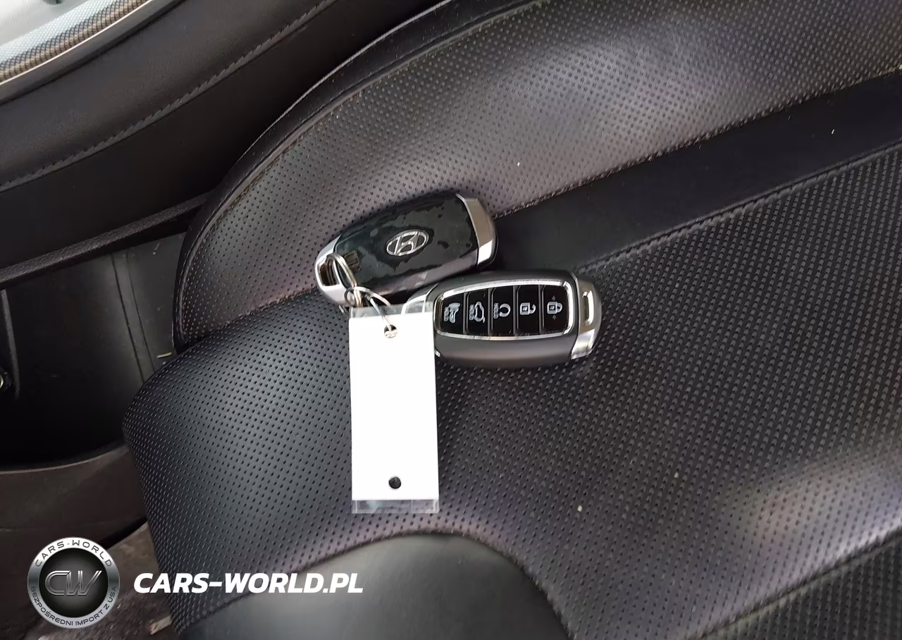 2021 Hyundai Palisade Limited VIN:KM8R5DHE3MU231193 - 11