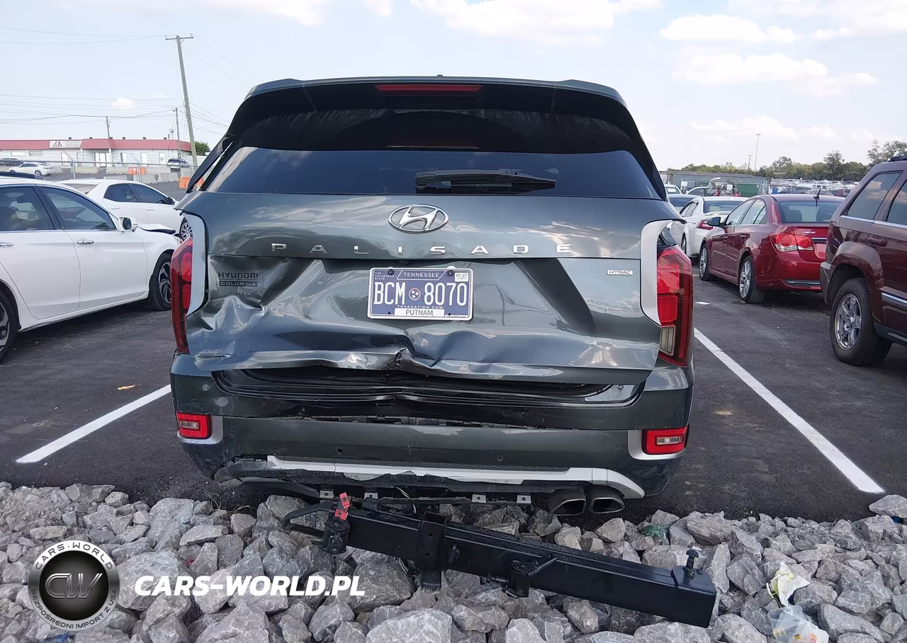 2021 Hyundai Palisade Limited VIN:KM8R5DHE3MU231193 - 17