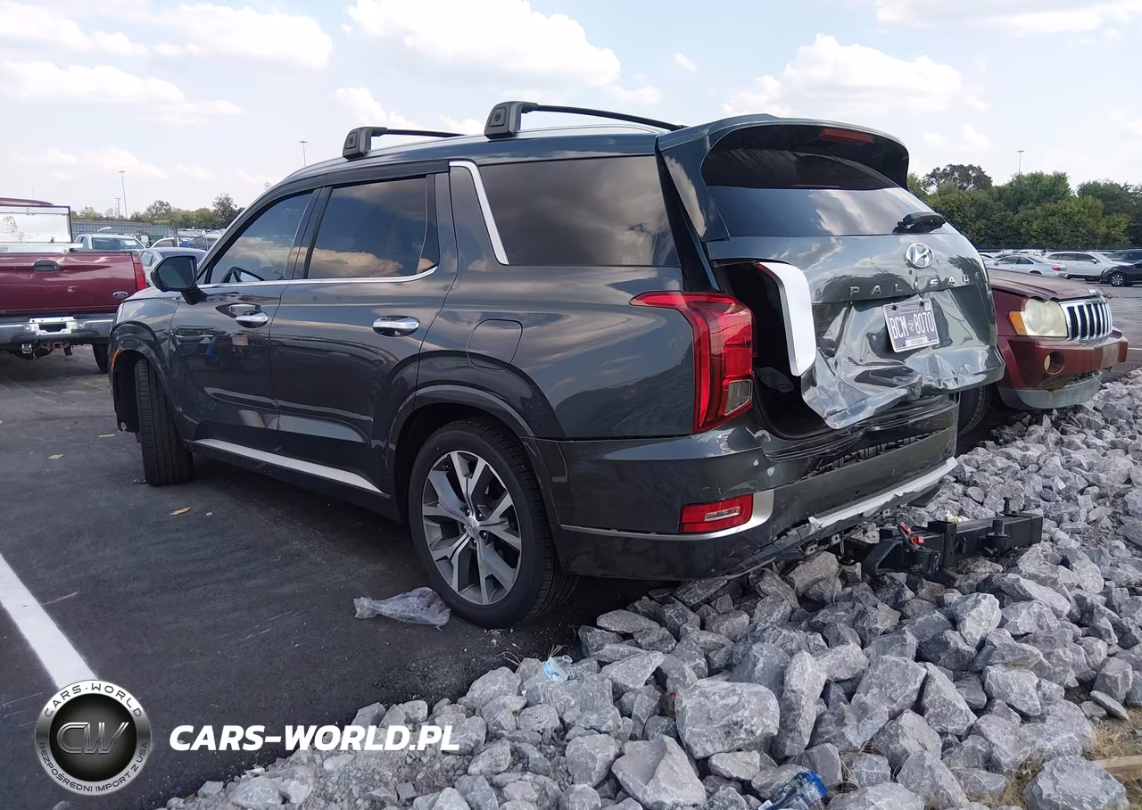 2021 Hyundai Palisade Limited VIN:KM8R5DHE3MU231193 - 3
