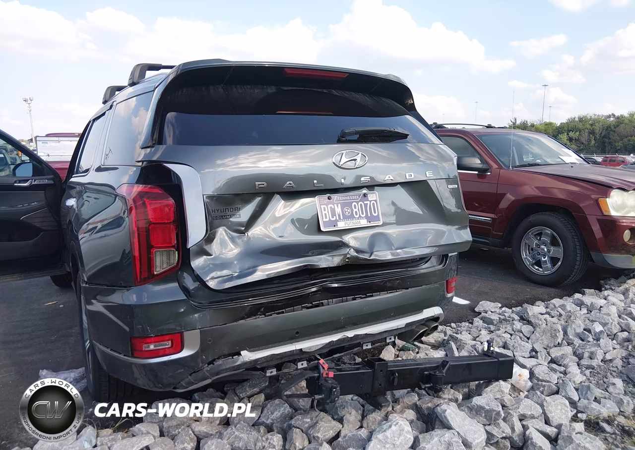 2021 Hyundai Palisade Limited VIN:KM8R5DHE3MU231193 - 6