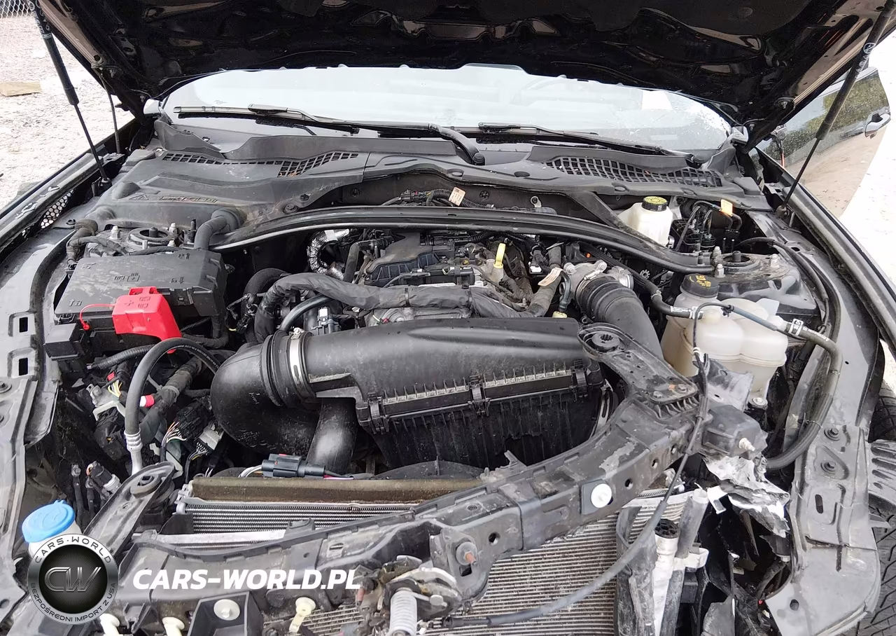 2024 Ford Mustang Ecoboost Fastback VIN:1FA6P8TH5R5102776 - 10